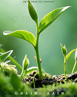谷雨：抓住春天的尾巴，祛湿健脾，安然入夏